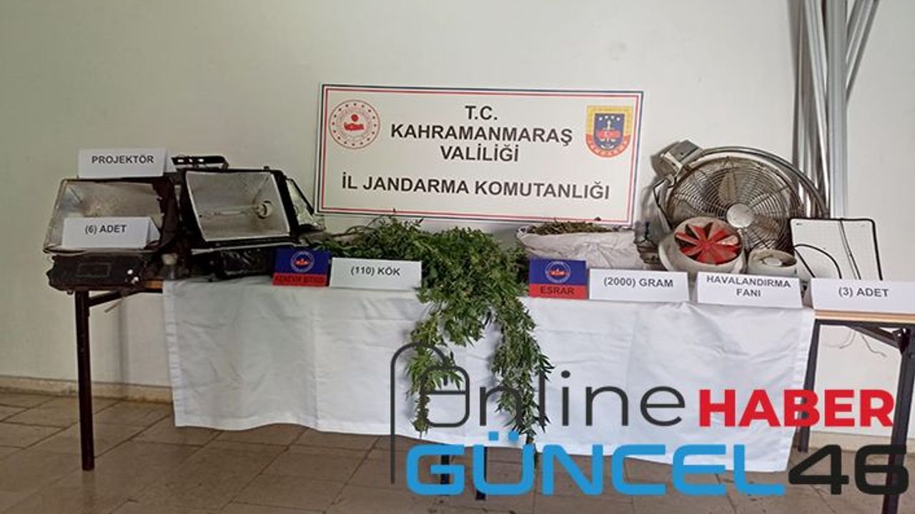 Evinde kurduğu özel alanda uyuşturucu yetiştirdi