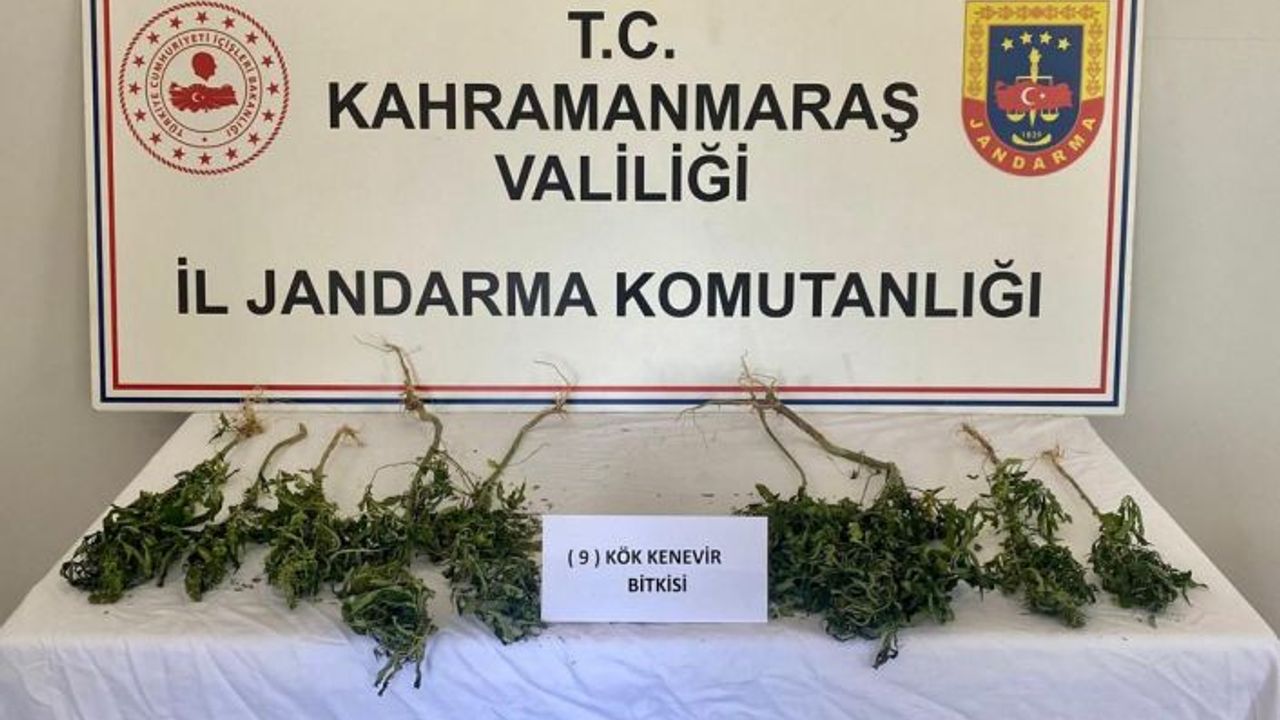 İkametinde yetiştirdiği uyuşturucuyu satan şüpheli yakalandı