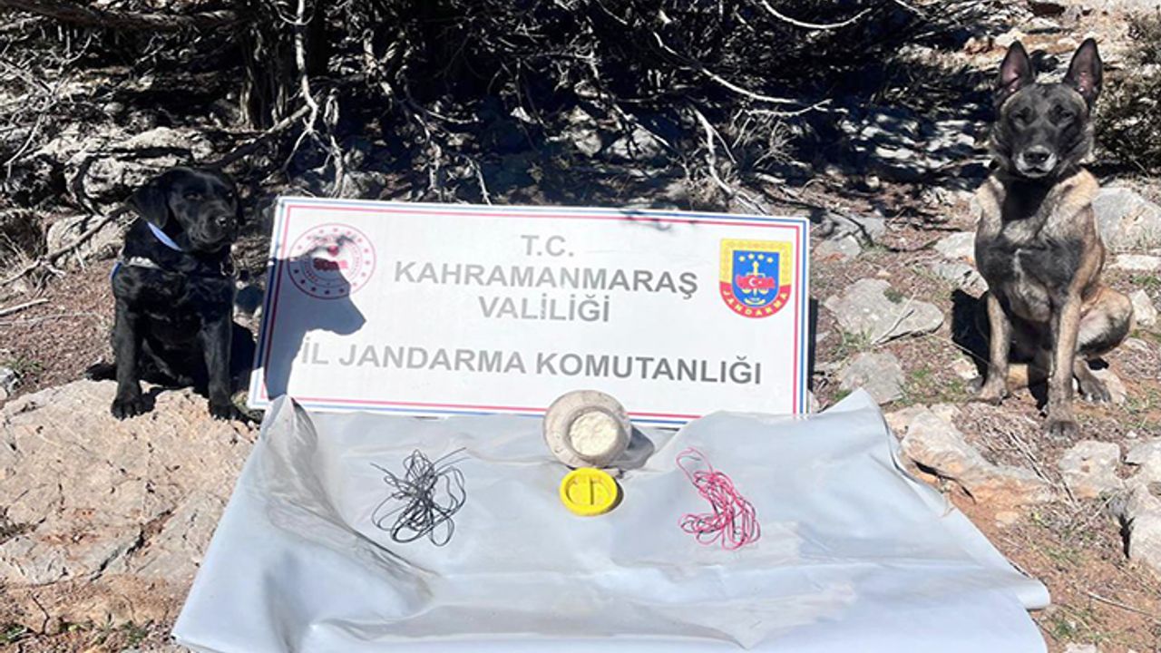 Teröristlere ait EYP ele geçirildi
