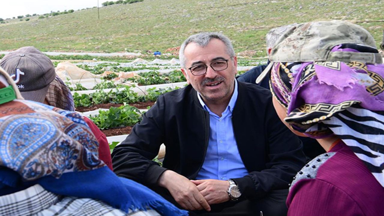 Güngör, “Tüm sektörlerimizi ayağa kaldırıyoruz”