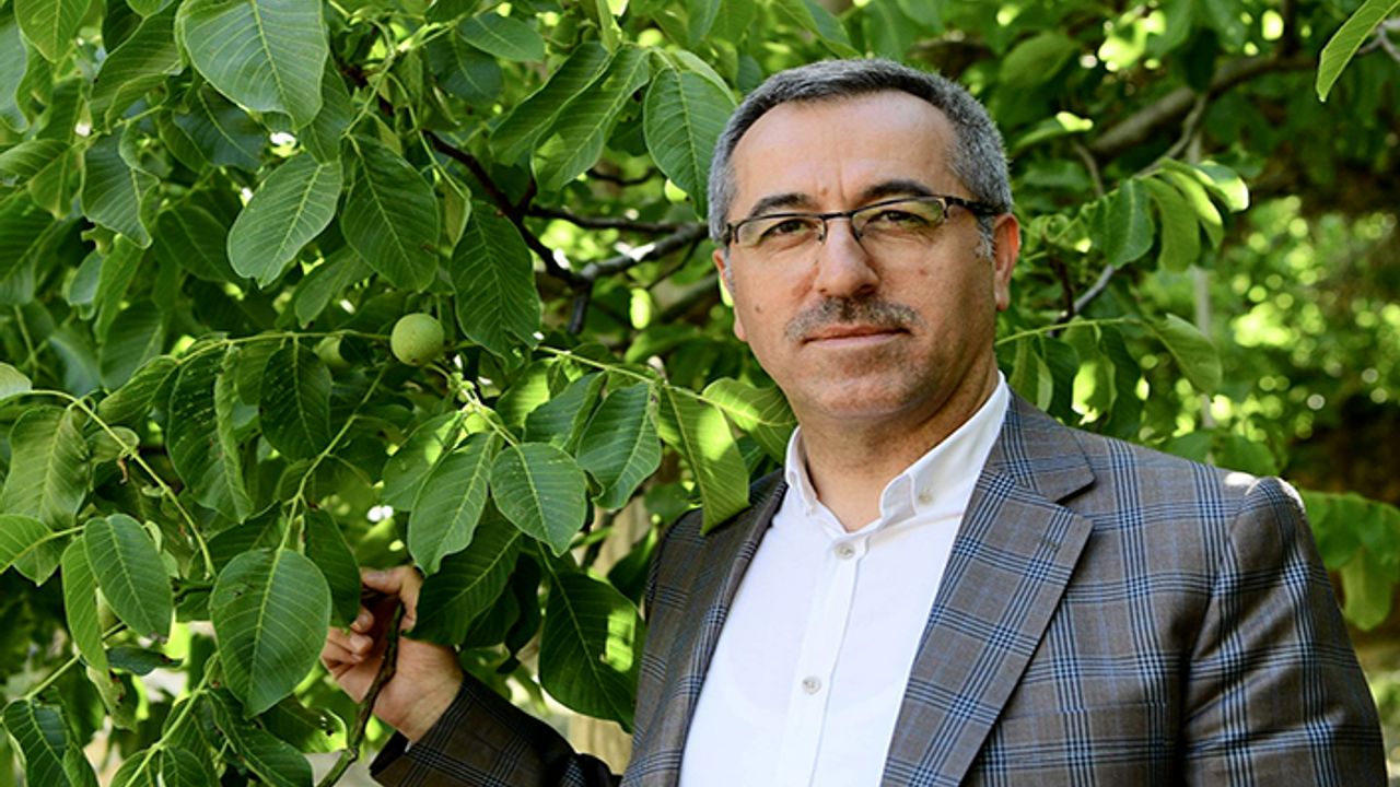 Çağlayancerit cevizi AB tarafından tescillenen 11. ürün oldu