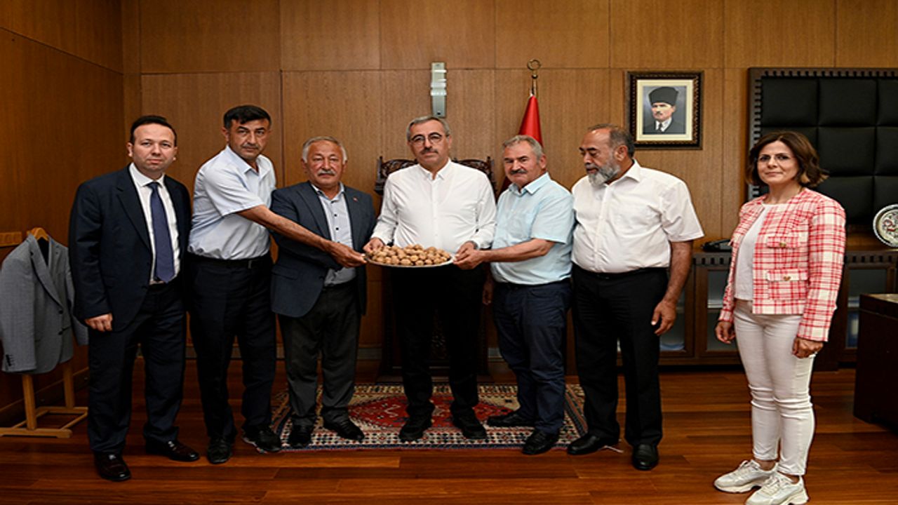 Güngör, “Çağlayancerit cevizi artık dünya markası”
