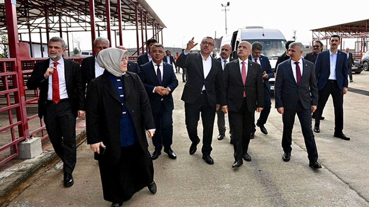 Depremde hayvanları telef olan üreticilere, büyükbaş hayvanları teslim edildi
