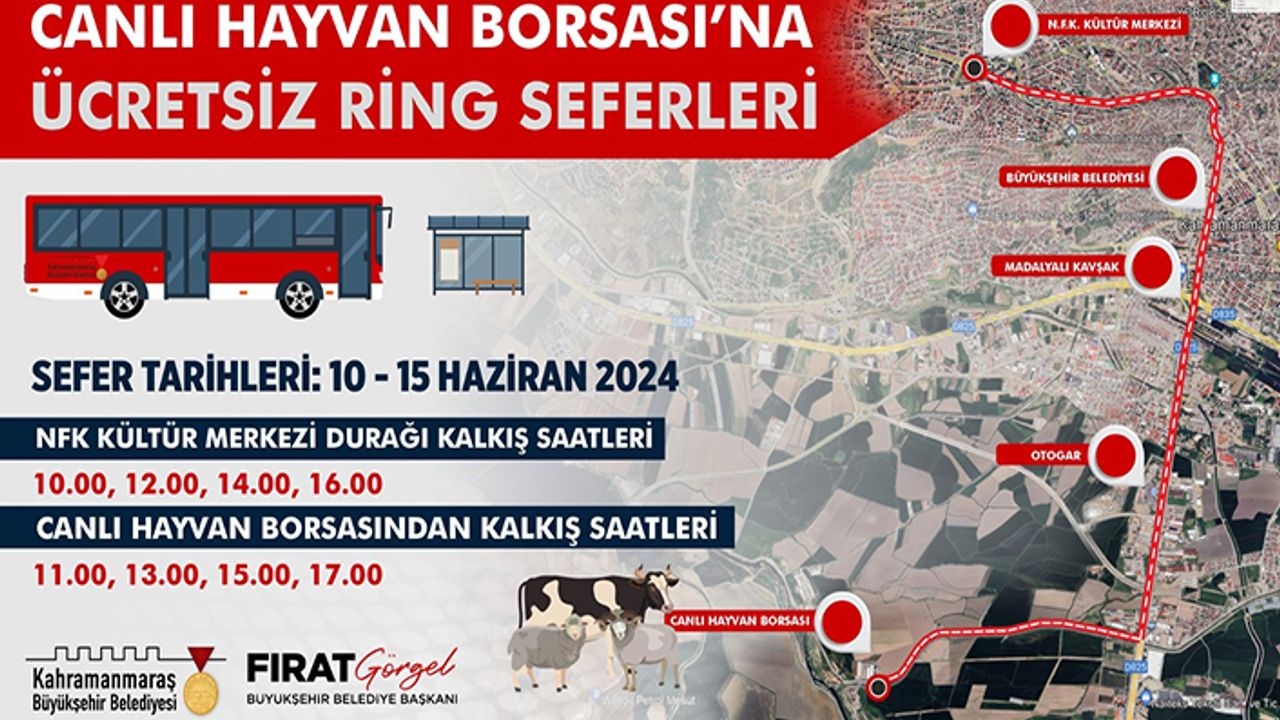 Canlı Hayvan Borsası’na ücretsiz ring seferleri başladı