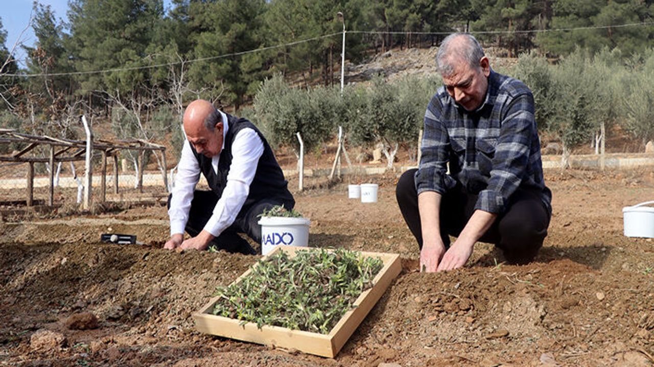 Mehmet Kanbur, “Salep şifalı bir içecektir”