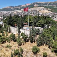 YAŞAM