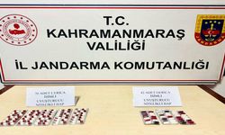 Kahramanmaraş’ta jandarma operasyonu