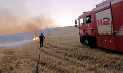 “Toprak geleceğimiz, korumak ortak sorumluluğumuz”