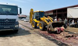 Büyükşehir, Şehri hayvansal atıklardan temizliyor