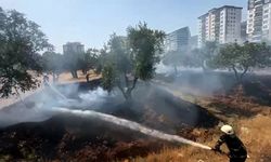 Kahramanmaraş’ta zeytinlik alanda yangın