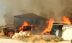 Kahramanmaraş’ta samanlık yangını korkuttu