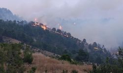 Kahramanmaraş'taki orman yangınına 8 ilden destekle müdahale sürüyor