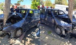 Kahramanmaraş’ta otomobil ağaca çarptı: 1 yaralı