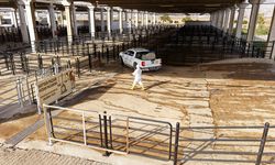 Kahramanmaraş Canlı Hayvan Pazarı’nda ilaçlama ve dezenfeksiyon