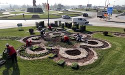 Kahramanmaraş’ta kavşakları 500 bin çiçekle renklendiriyor