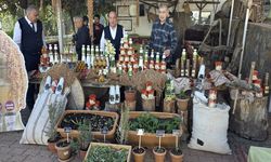 MADO Çiftliği’nde Salep Dikimi