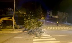 Kahramanmaraş’ta şiddetli rüzgar hayatı olumsuz etkiledi