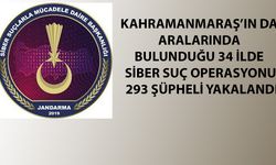 Kahramanmaraş’ın da aralarında bulunduğu 34 ilde siber suç operasyonu: 293 şüpheli yakalandı
