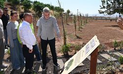 Başkan Görgel; “Şehrimize Türkiye’ye örnek bir çevre projesi kazandırdık”
