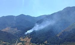 Kahramanmaraş’taki orman yangınlarına havadan ve karadan müdahale