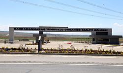 Tomsuklu OSB ’de 12 sanayi parseli yatırımcılara tahsis edilecek