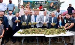 Başkan Toptaş, Kahramanmaraş’ın Karadeniz’i Kalekaya’da Fındık Festivali’ne katıldı