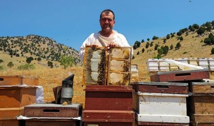 Münür Tuğrul bal fiyatlarını değerlendirdi