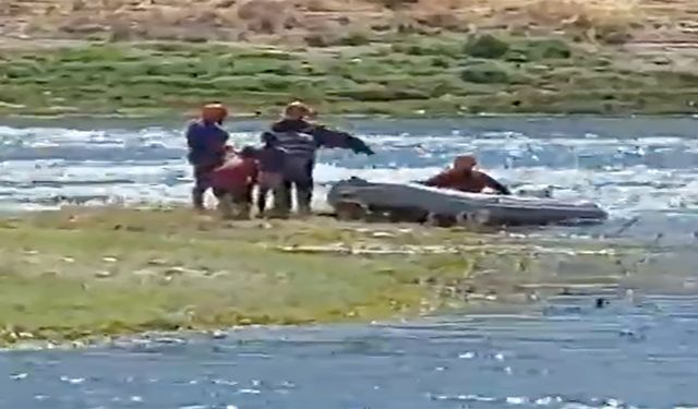 Baraj sularının yükselmesiyle mahsur kalan 3 çocuk ve 2 köpek kurtarıldı
