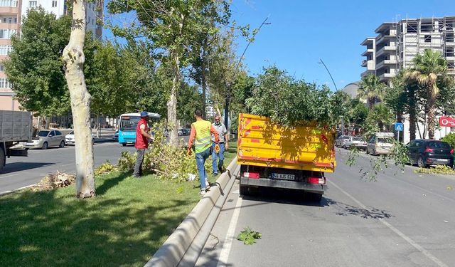 Kahramanmaraş’ta fırtına saatte 110 kilometre hıza ulaştı