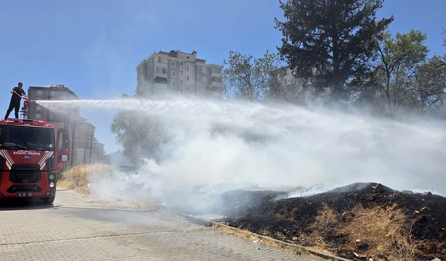 Kahramanmaraş’ta zeytinlik alanda yangın