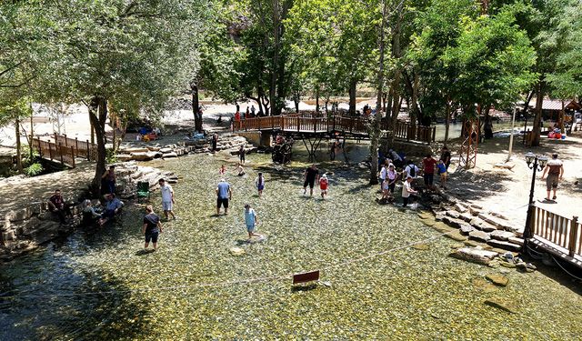 Yeşilgöz’ün Değeri Katlanıyor