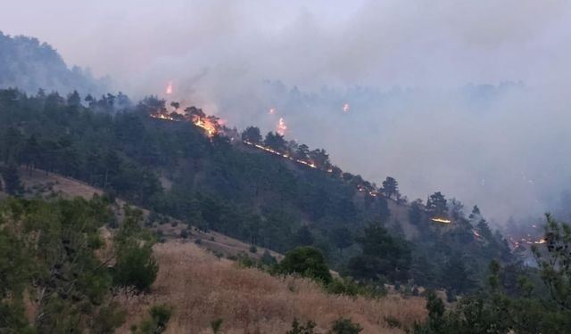Kahramanmaraş'taki orman yangınına 8 ilden destekle müdahale sürüyor