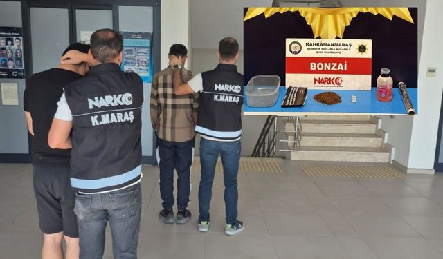 Kahramanmaraş’taki operasyonda 80 gram bonzai ele geçirildi, 1 kişi tutuklandı