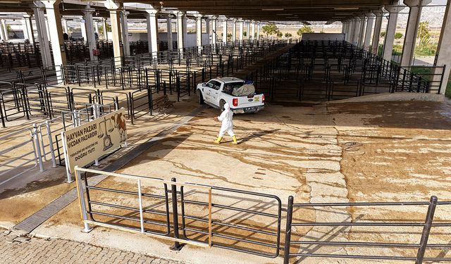 Kahramanmaraş Canlı Hayvan Pazarı’nda ilaçlama ve dezenfeksiyon