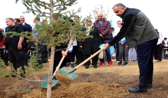 Onikişubat Belediyesi, Milli Ağaçlandırma Günü’nde yangından etkilenen alanları yeniden yeşertti