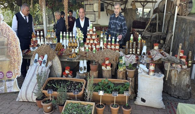 MADO Çiftliği’nde Salep Dikimi