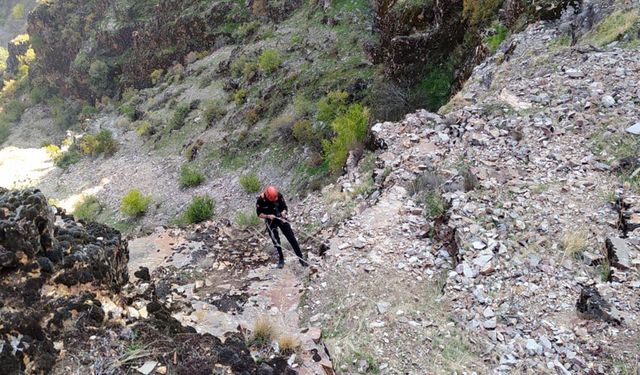 Kahramanmaraş’ta mahsur kalan keçiler itfaiye ekiplerince kurtarıldı