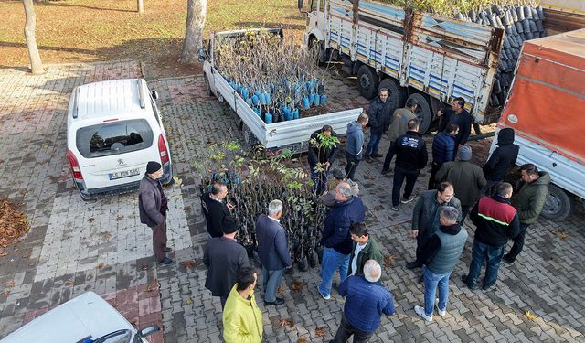 Kahramanmaraş’ta bin 500 üreticiye 193 bin adet fidan desteği