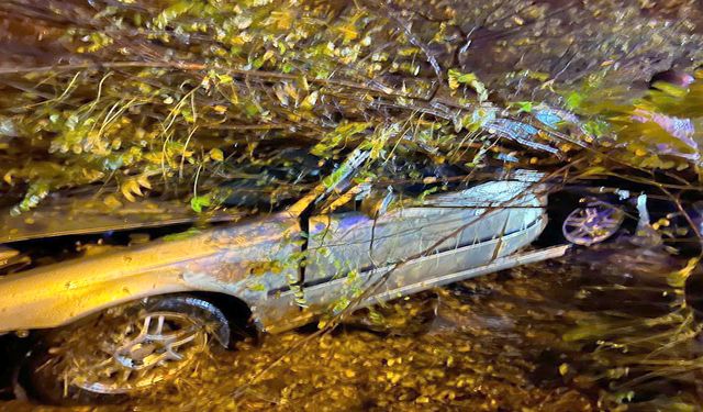 Kahramanmaraş’ta kontrolden çıkan otomobil ağaçlık alana girdi: 2 yaralı