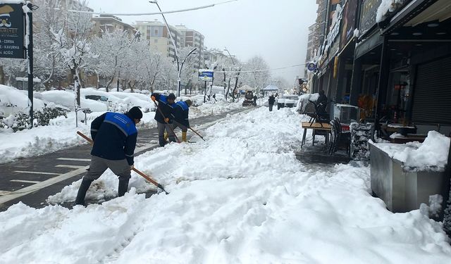 Büyükşehir, yürüyüş yollarını da temizliyor