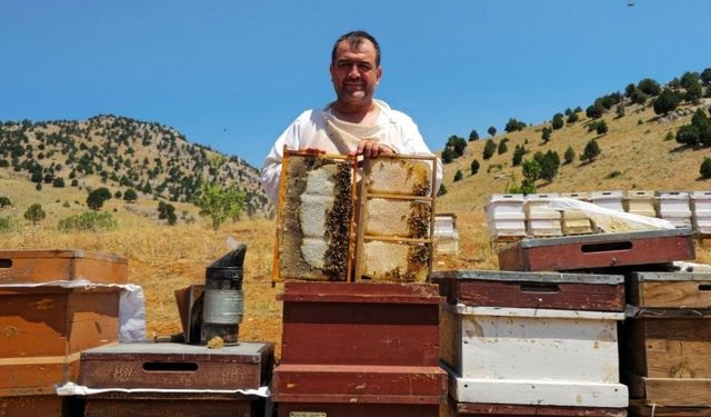 Münür Tuğrul bal fiyatlarını değerlendirdi