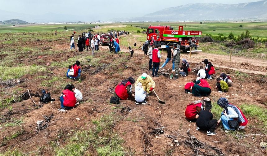 Büyükşehir’den “Engelsiz Orman”