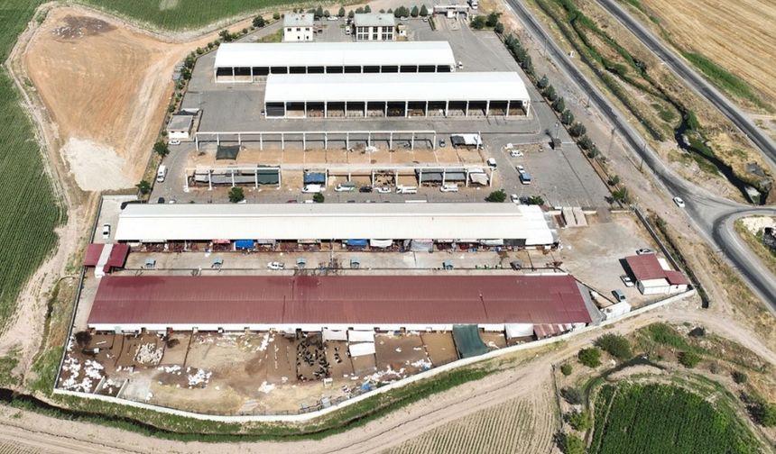 Kurban satış yeri kiralaması 15 Mayıs’ta başlıyor