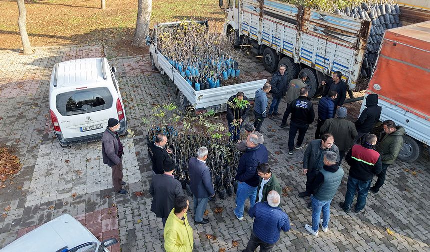 Kahramanmaraş’ta bin 500 üreticiye 193 bin adet fidan desteği