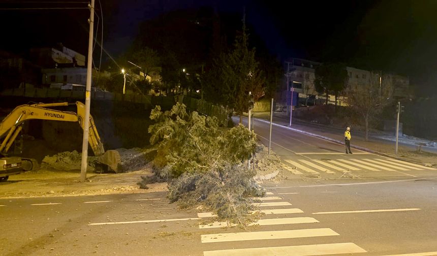 Kahramanmaraş’ta şiddetli rüzgar hayatı olumsuz etkiledi